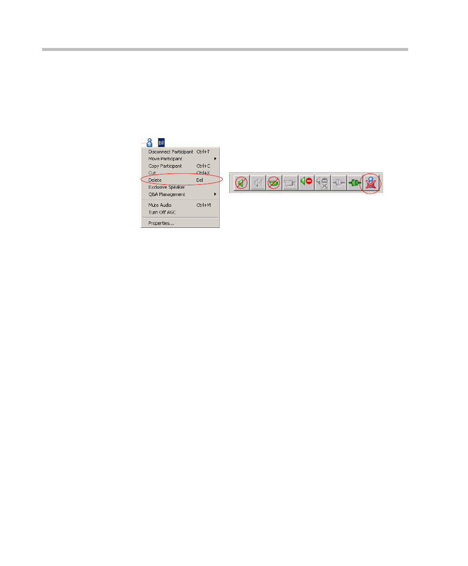 Muting a participant, Muting a participant -20 | Polycom DOC2232A User Manual | Page 64 / 132