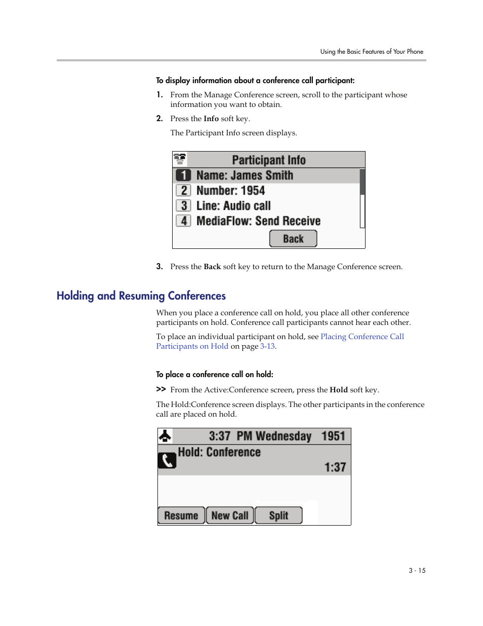 Holding and resuming conferences, Holding and resuming conferences -15, Holding and | Resuming conferences, Holding and resuming, Conferences | Polycom 7000 User Manual | Page 77 / 130