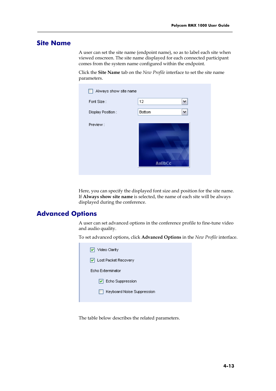 Site name, Advanced options | Polycom RMX 1000 User Manual | Page 52 / 167