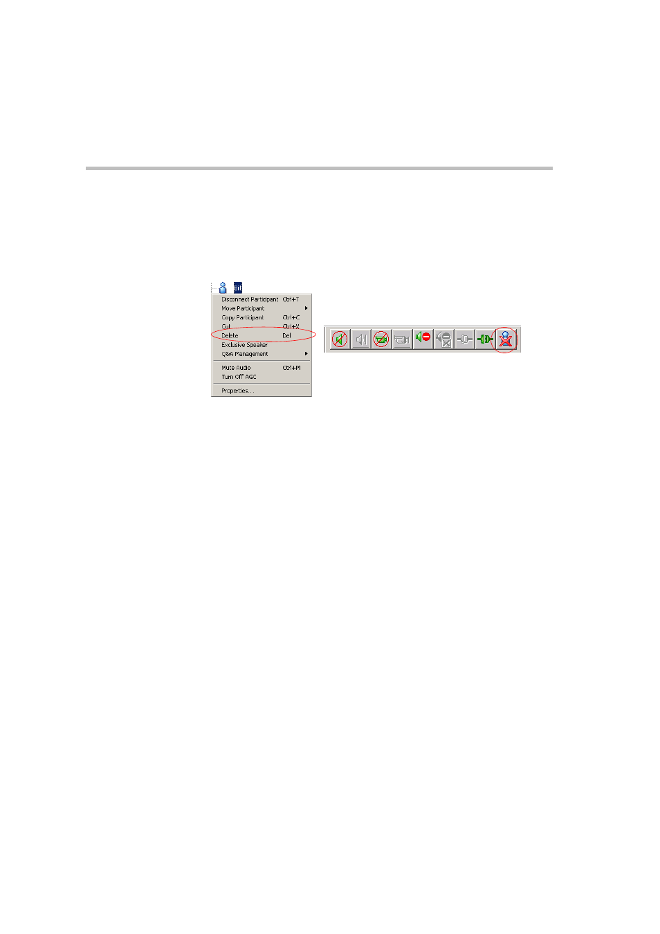 Muting a participant, Muting a participant -20 | Polycom DOC2231A User Manual | Page 72 / 116