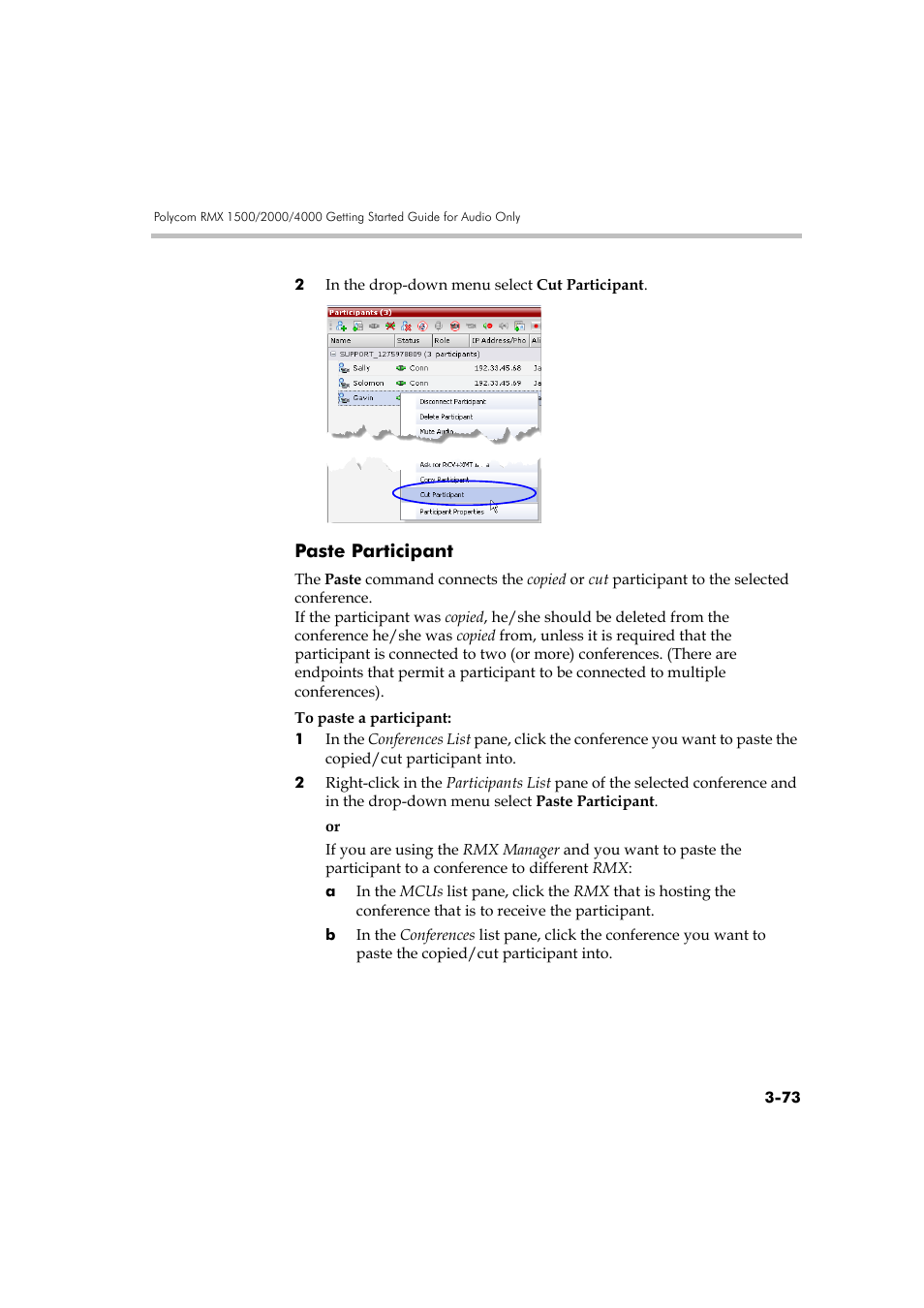 Paste participant, Paste participant -73 | Polycom DOC2585A User Manual | Page 149 / 160