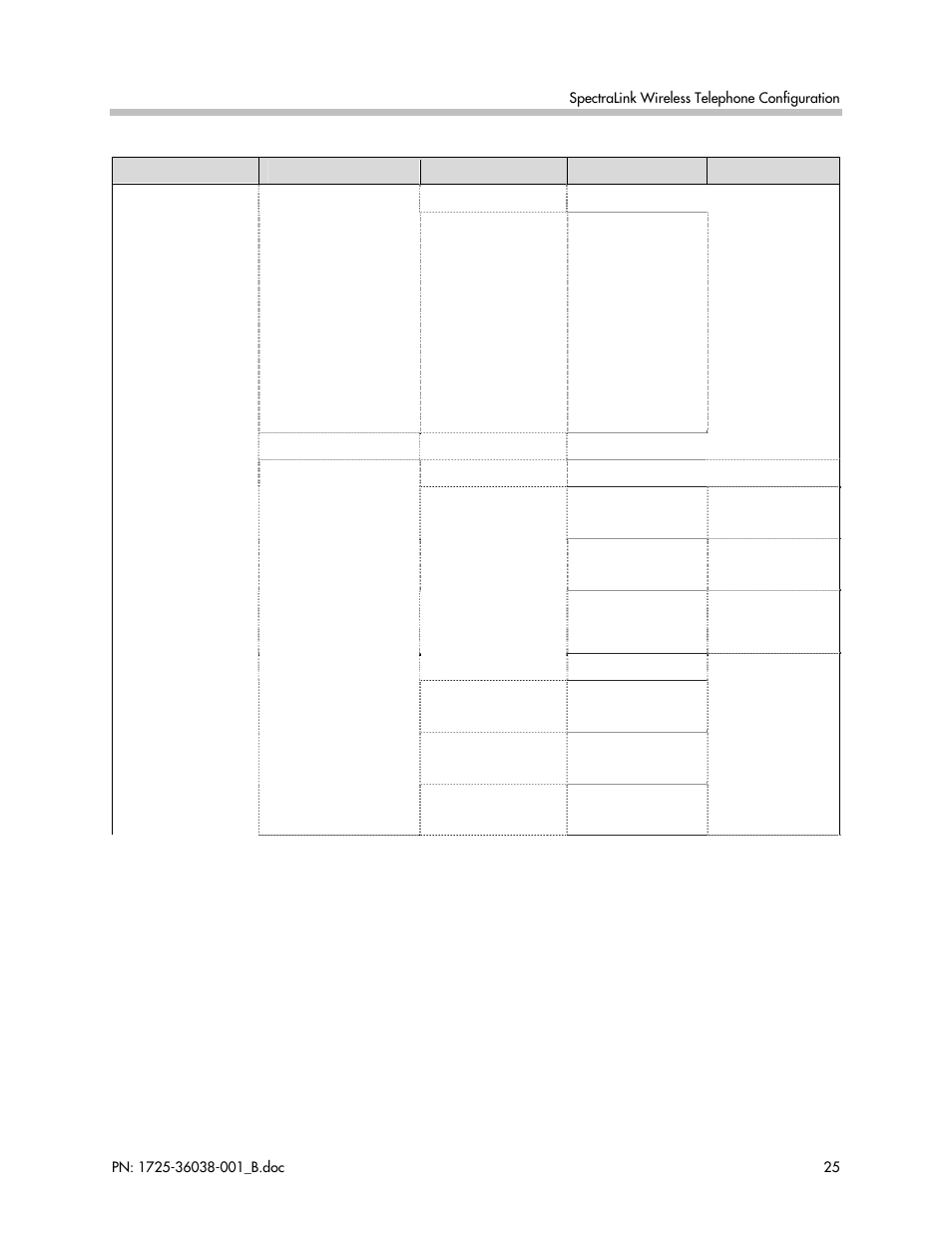 Polycom SpectraLink 1725-36038-001 User Manual | Page 25 / 101