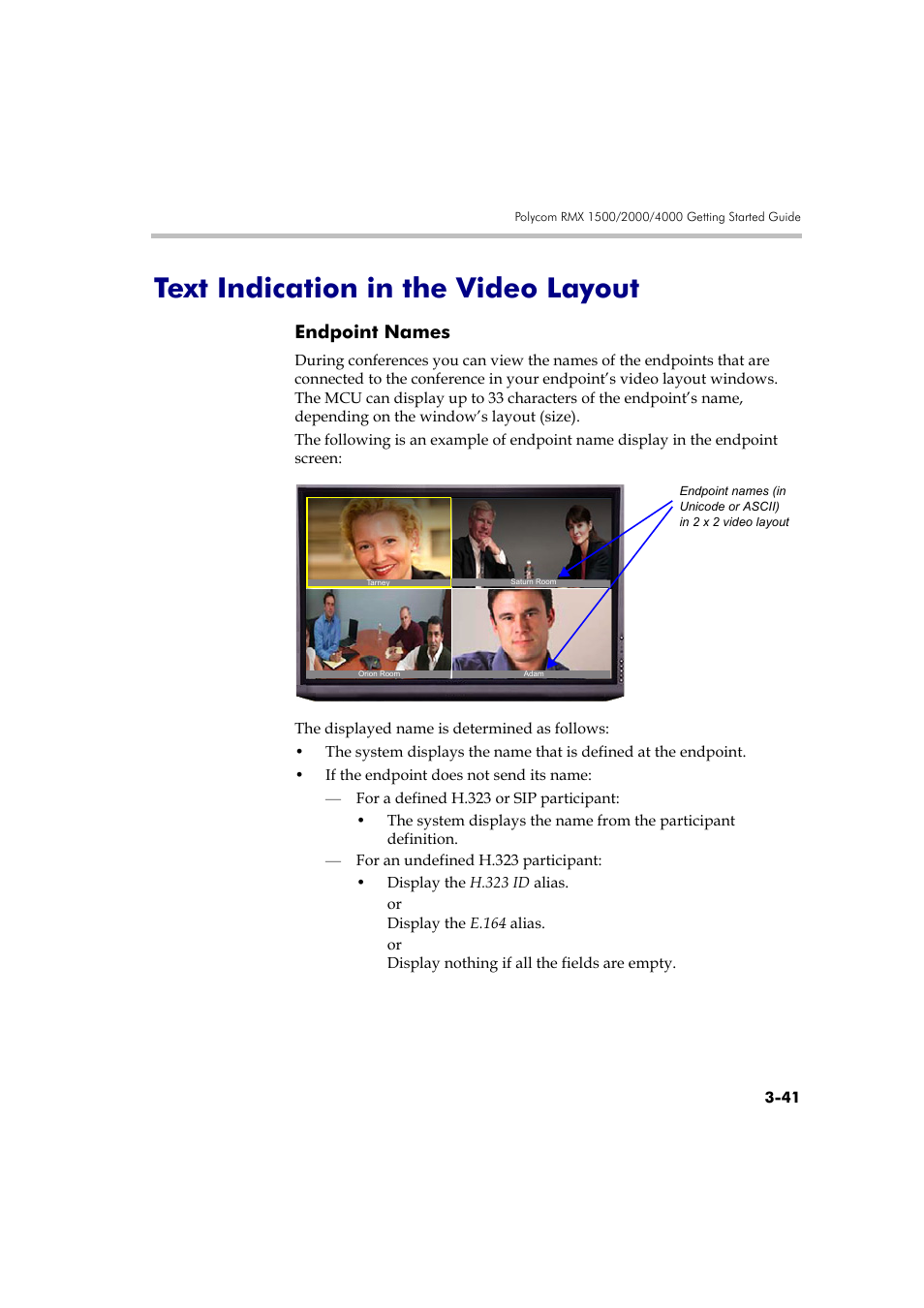 Text indication in the video layout, Endpoint names, Text indication in the video layout -41 | Endpoint names -41 | Polycom RMX DOC2560B User Manual | Page 119 / 188