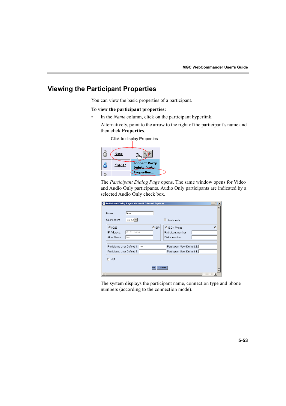 Viewing the participant properties, Viewing the participant properties -53 | Polycom WEBCOMMANDER 8 User Manual | Page 129 / 434