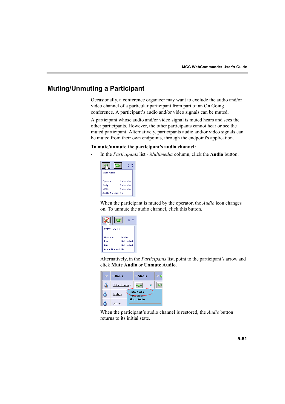 Muting/unmuting a participant, Muting/unmuting a participant -61 | Polycom WEBCOMMANDER 8 User Manual | Page 137 / 434