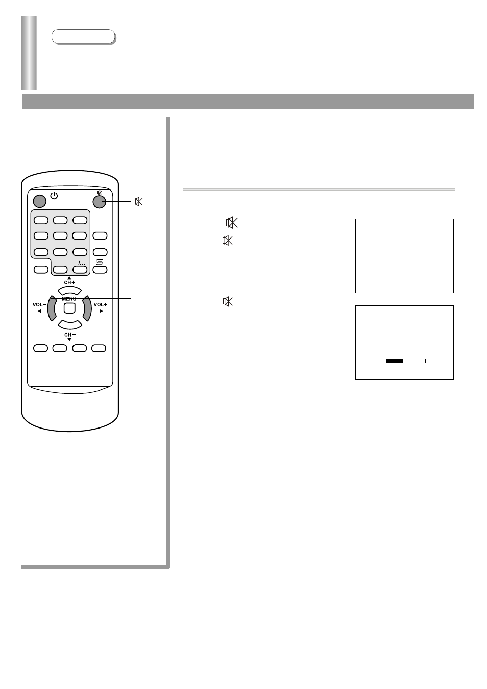 Sound controls, Use vol+/- buttons, Use button | Adjusting the volume and muting the sound, Operations, Mute | Palsonic 3430GM User Manual | Page 21 / 29