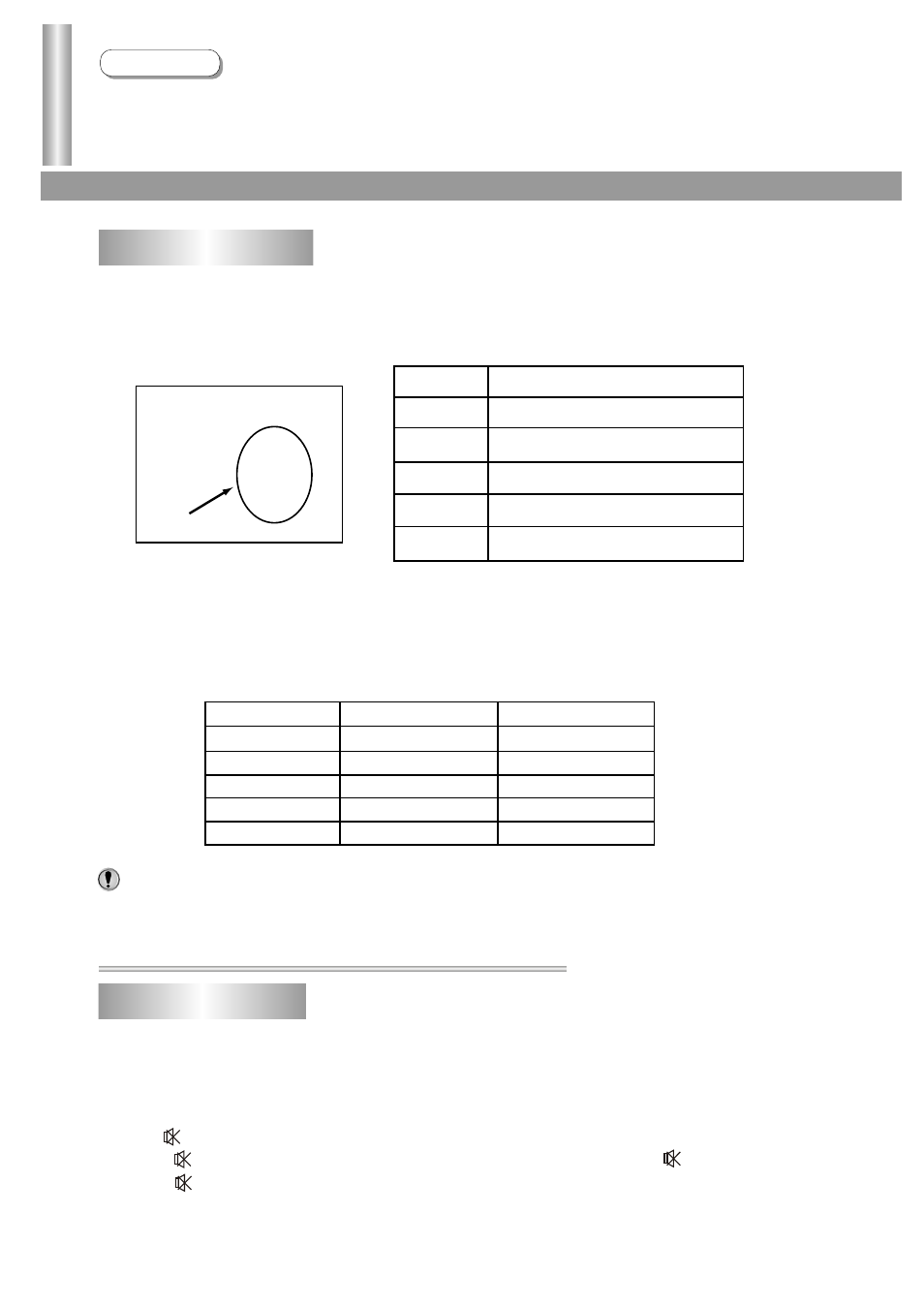 Adjusting the picture/sound | Palsonic 5140TS User Manual | Page 21 / 30