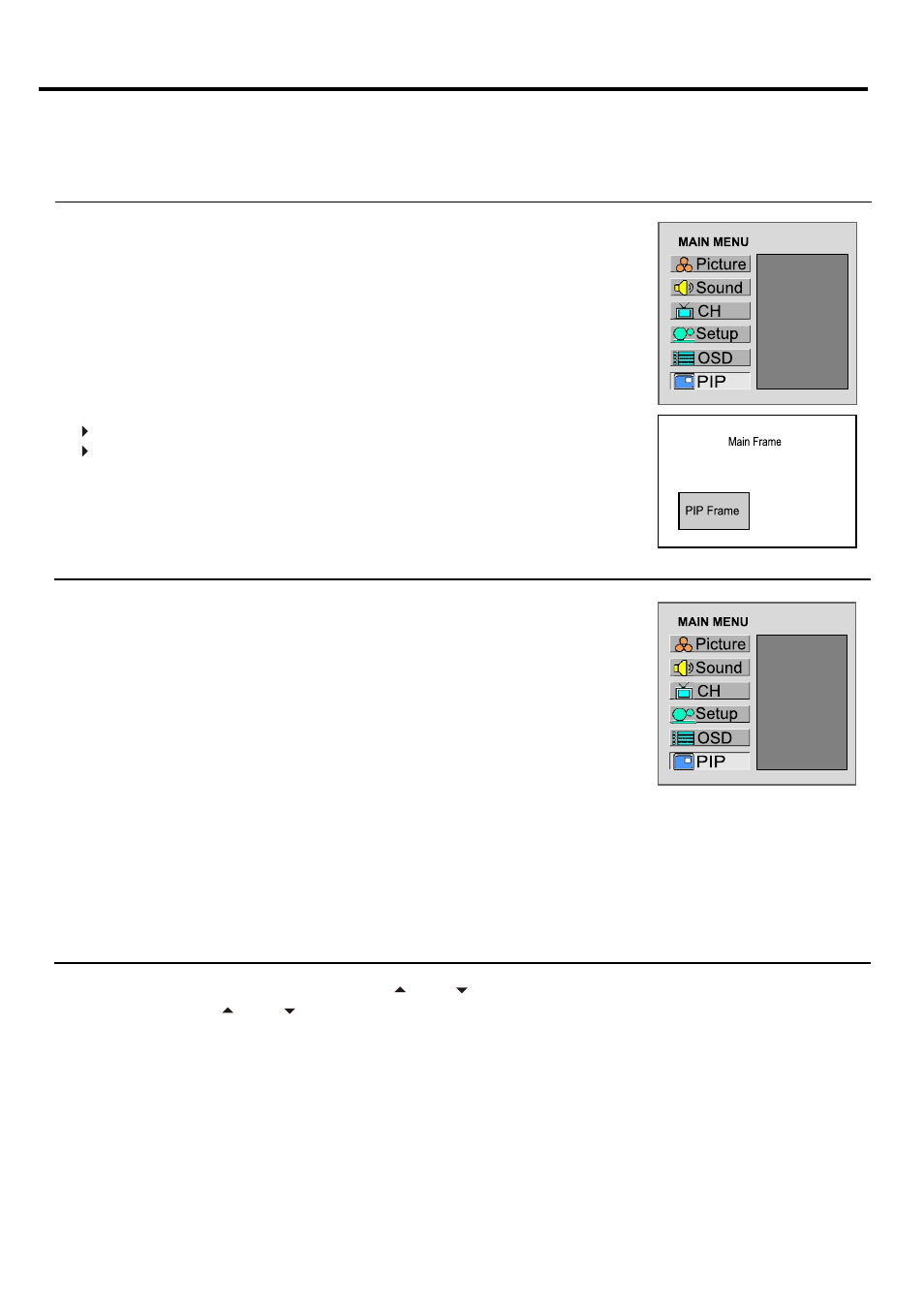 Pip operations | Palsonic TFTV930 User Manual | Page 32 / 36