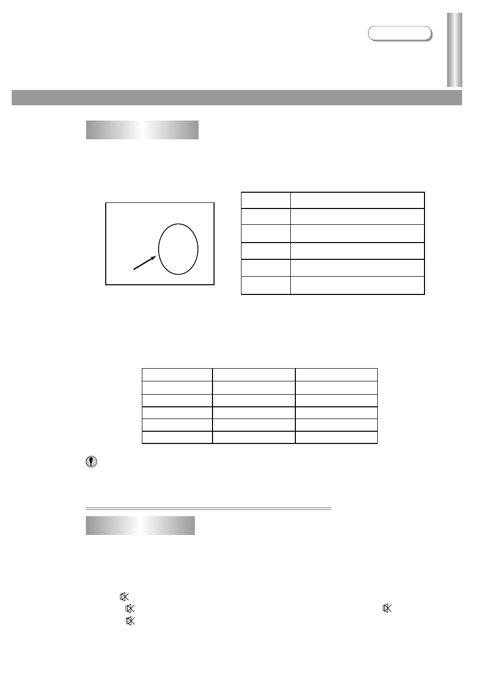 Adjusting the picture/sound | Palsonic 3435TS User Manual | Page 20 / 29