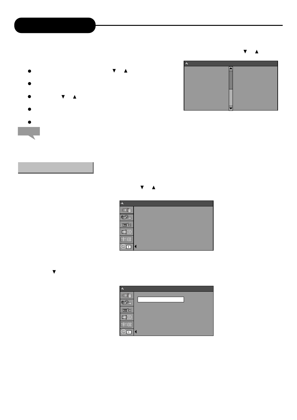 System setup | Palsonic DVD R 212 User Manual | Page 43 / 48