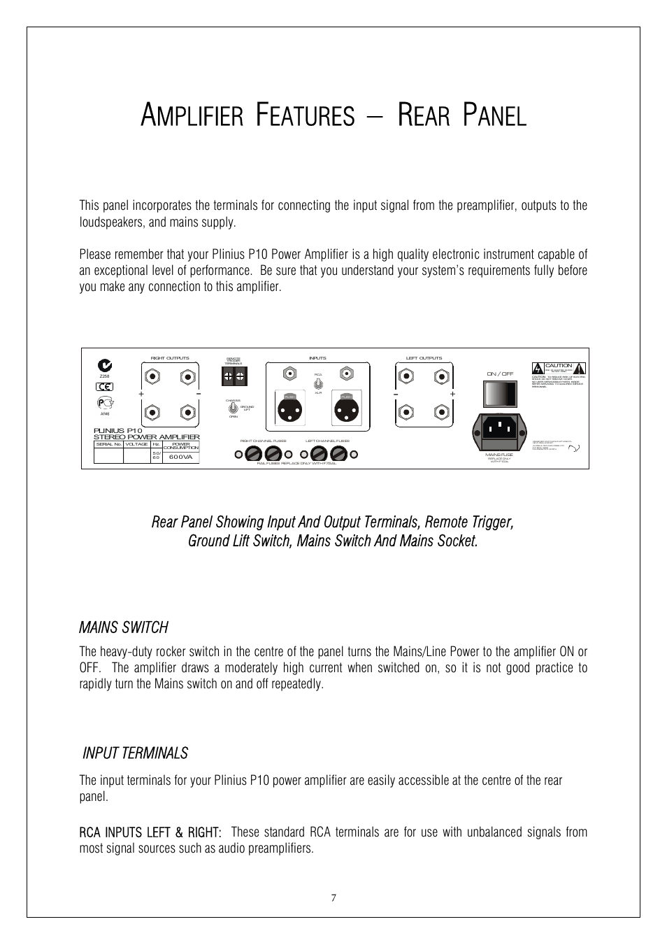 Mplifier, Eatures, Anel | Mains switch, Input terminals | Plinius Audio P10 User Manual | Page 7 / 17
