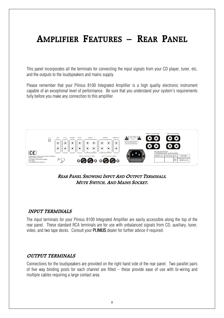 Input terminals, Output terminals, Anel | Howing, Nput, Utput, Erminals, Witch, Ains, Ocket | Plinius Audio 8100 User Manual | Page 8 / 18