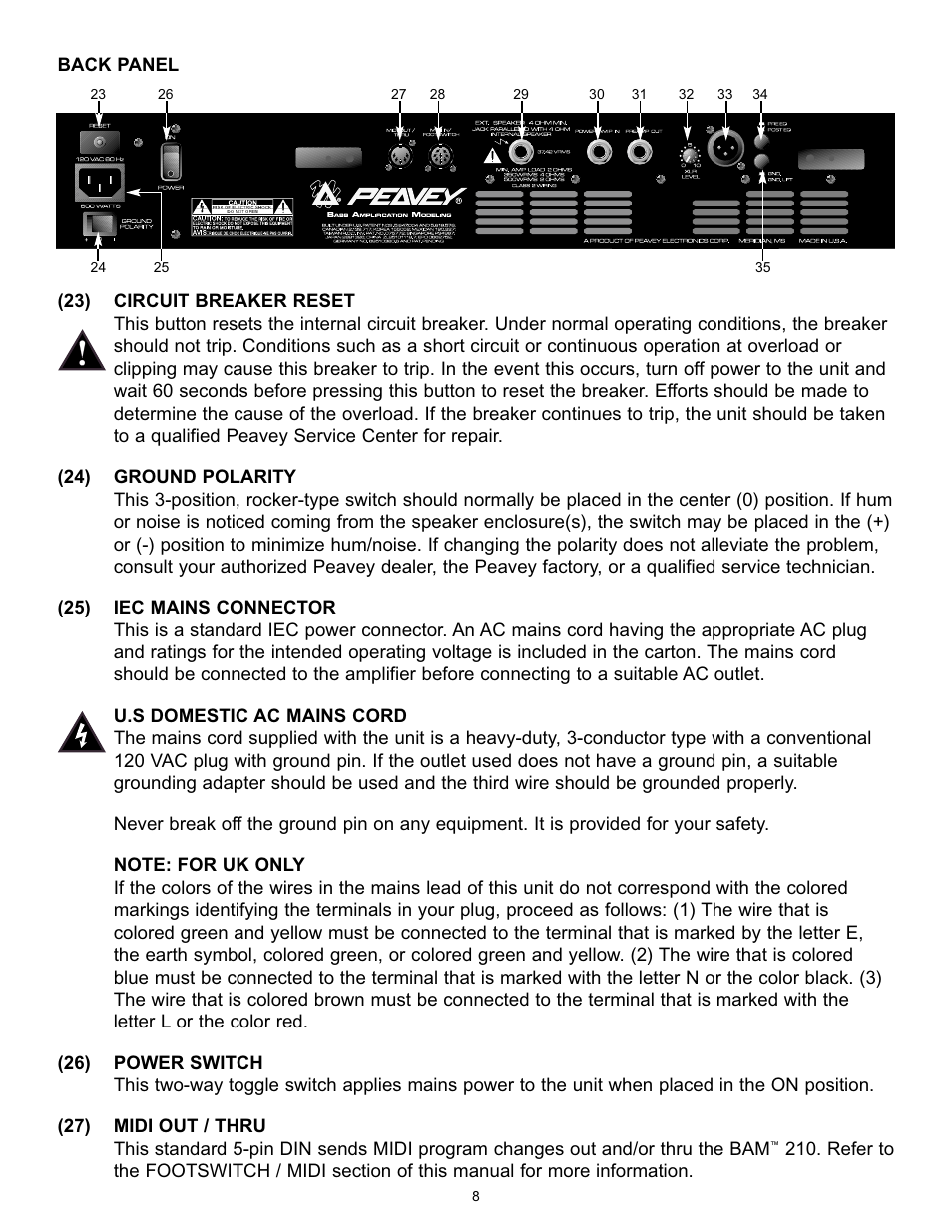 Peavey BAM 210 User Manual | Page 8 / 80