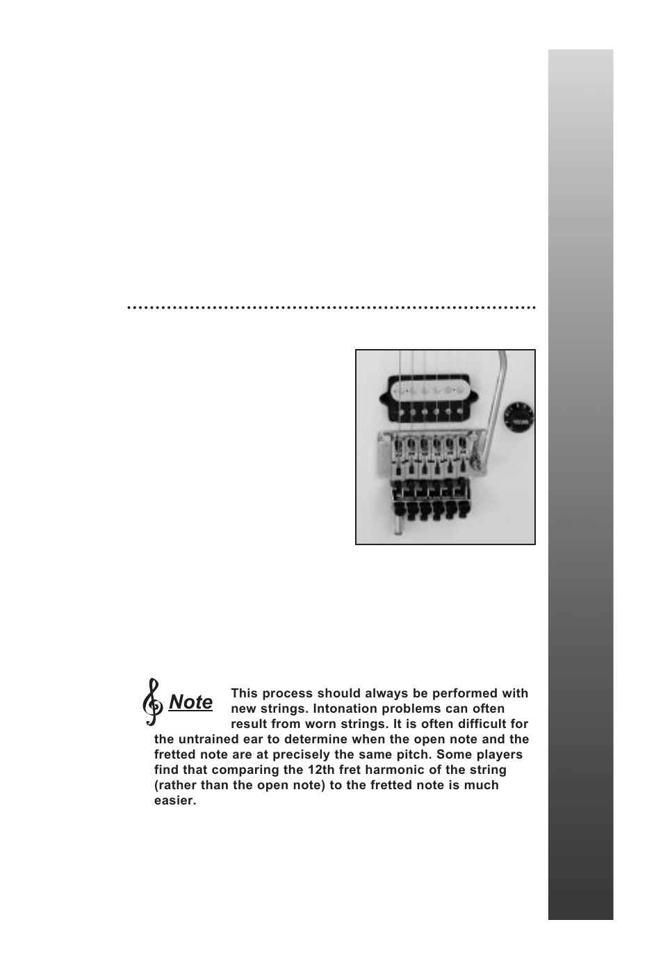 Tring intonation | Peavey EVH Wolfgang User Manual | Page 11 / 56