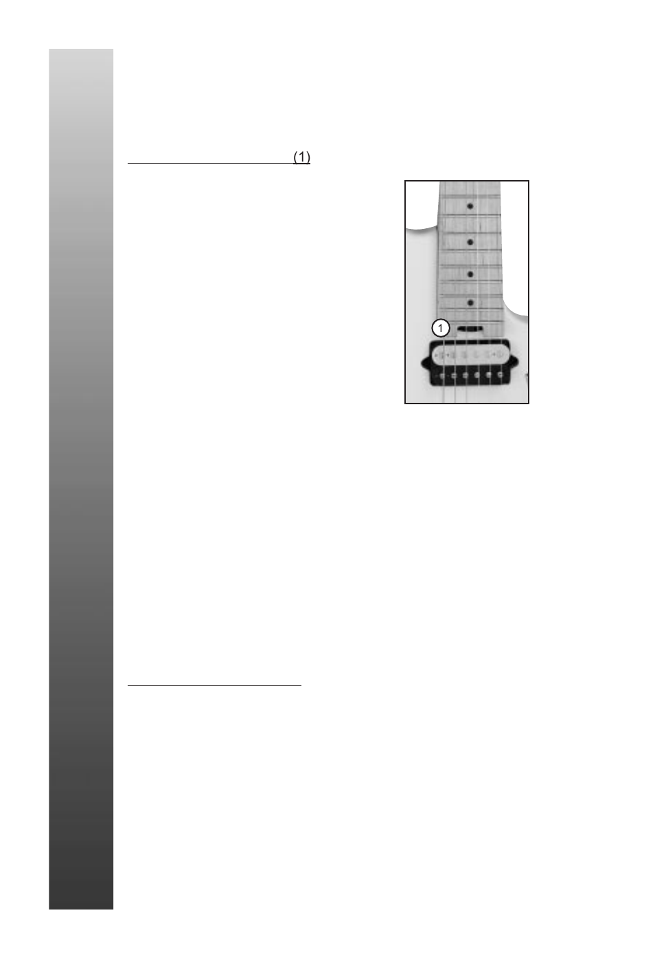 Varilla de torsión, Puente del trémolo | Peavey EVH Wolfgang User Manual | Page 18 / 56