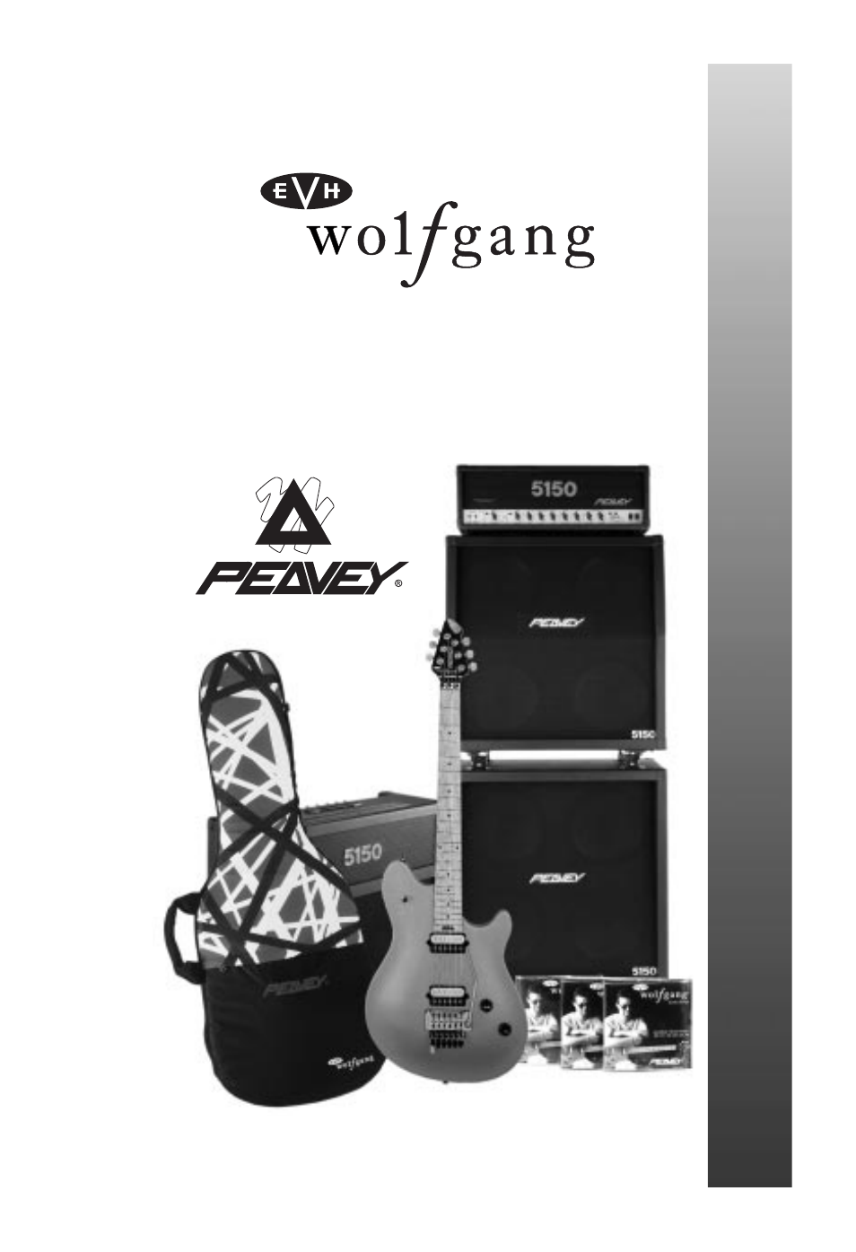 Peavey EVH Wolfgang User Manual | Page 55 / 56