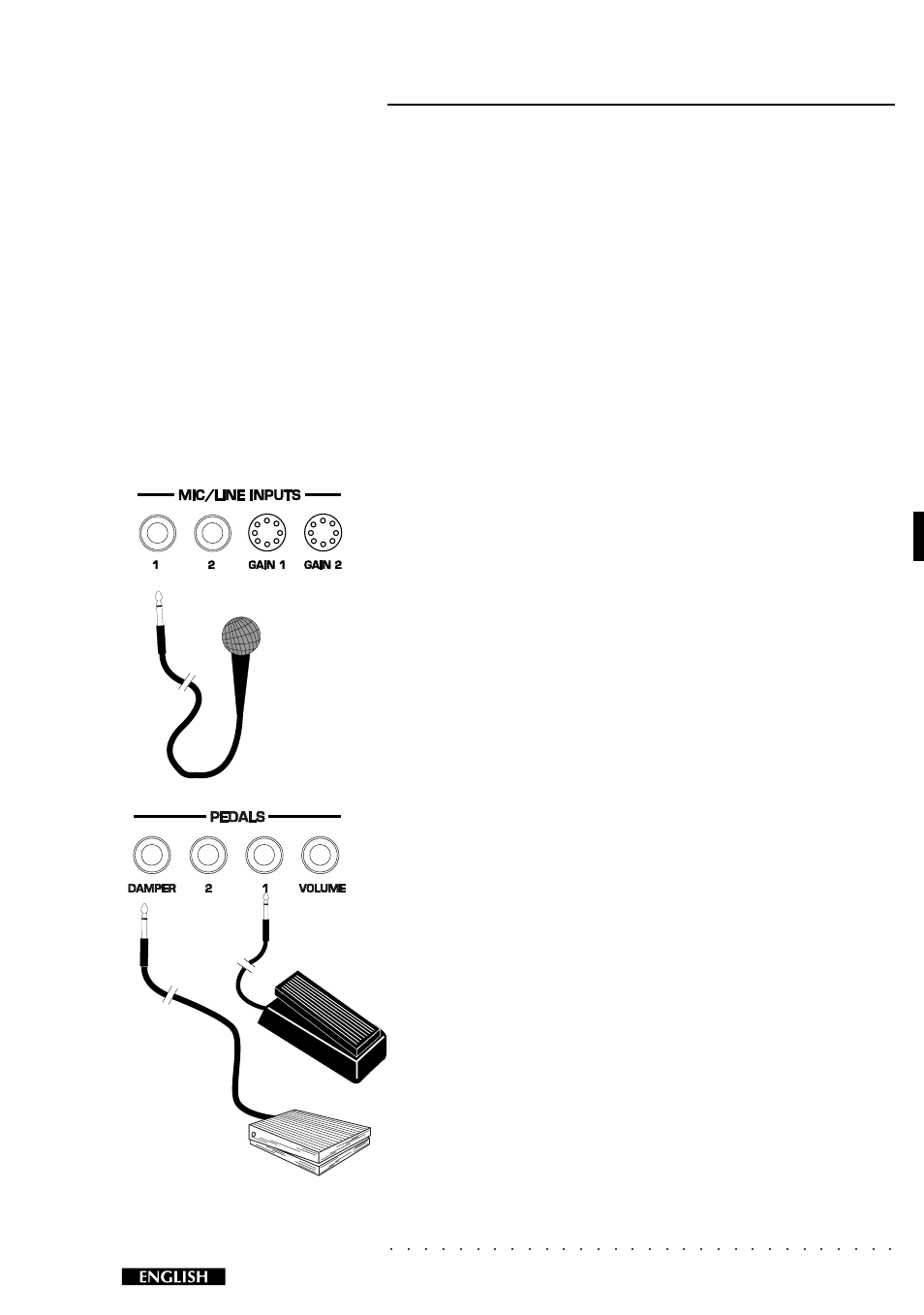 Connections, Introduction 3 | Peavey Equinox User Manual | Page 5 / 16
