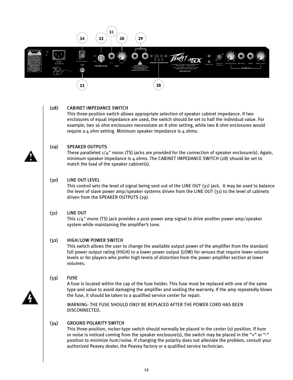 Peavey JSX 212 User Manual | Page 12 / 48