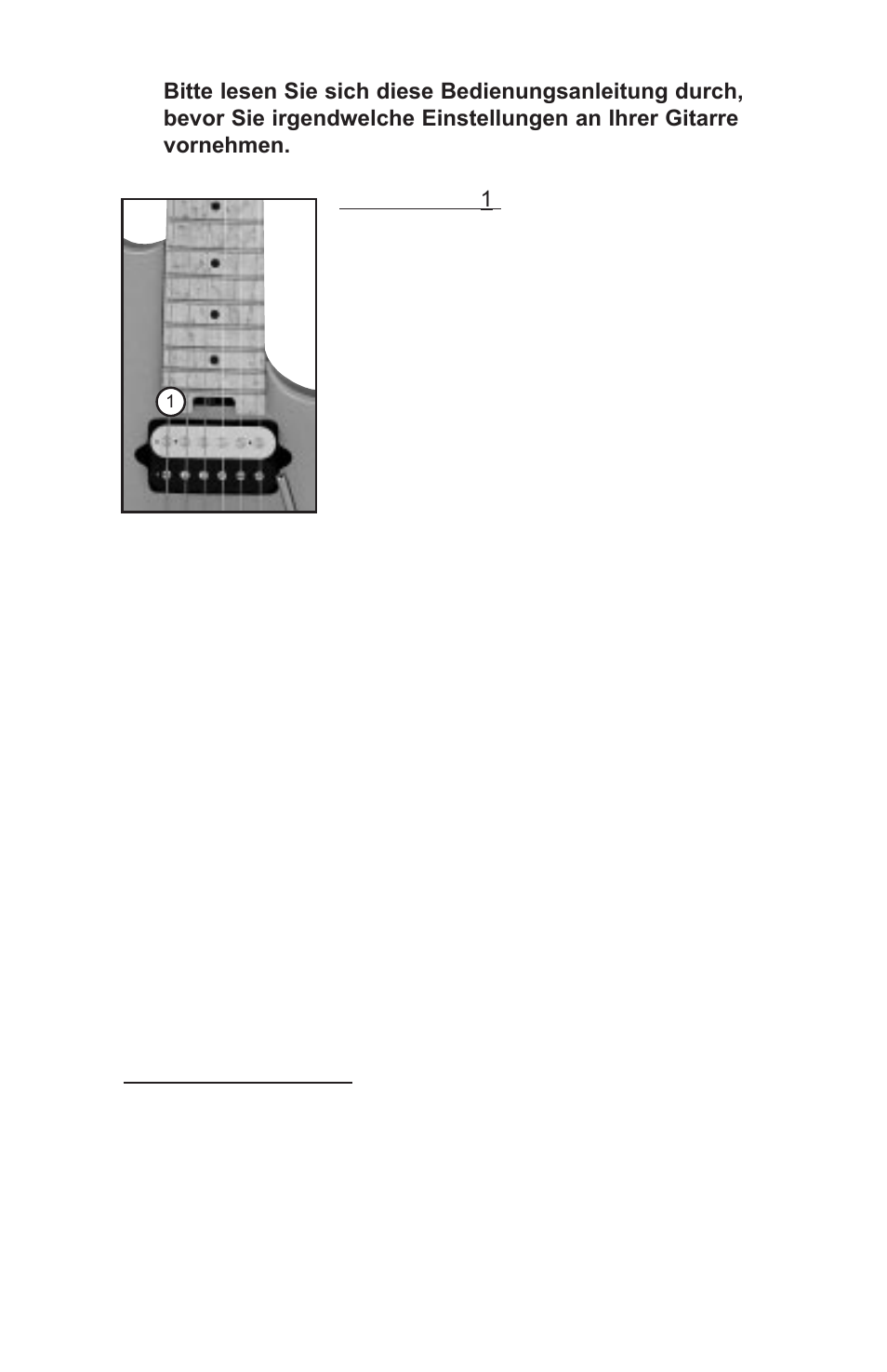 Halsstab, Tremolo bridge | Peavey Electronics User Manual | Page 43 / 60
