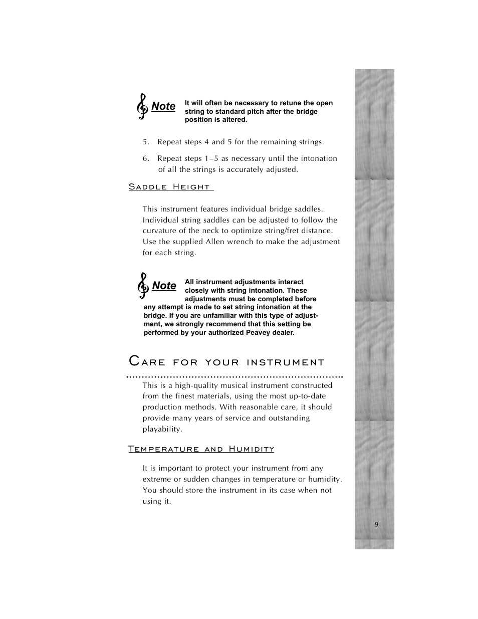 Peavey Cirrus User Manual | Page 9 / 40