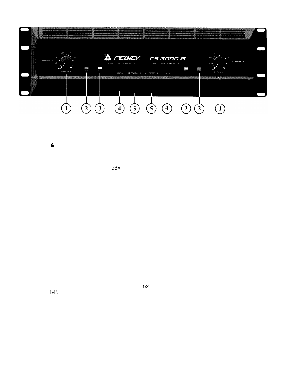 Peavey CS-G series User Manual | Page 4 / 28