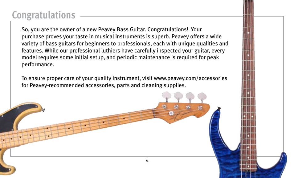 Peavey Guitar User Manual | Page 4 / 24