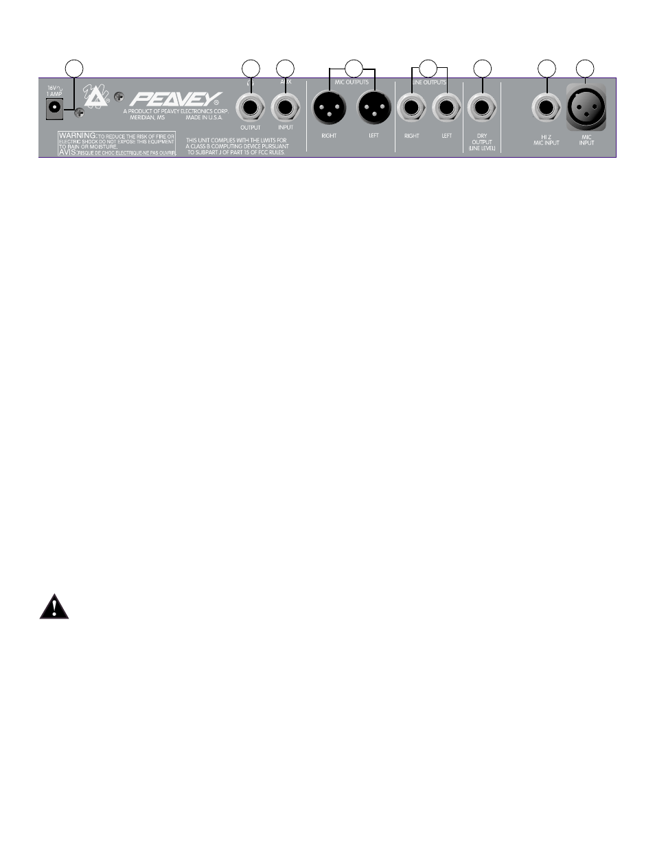 Peavey 100 User Manual | Page 8 / 68