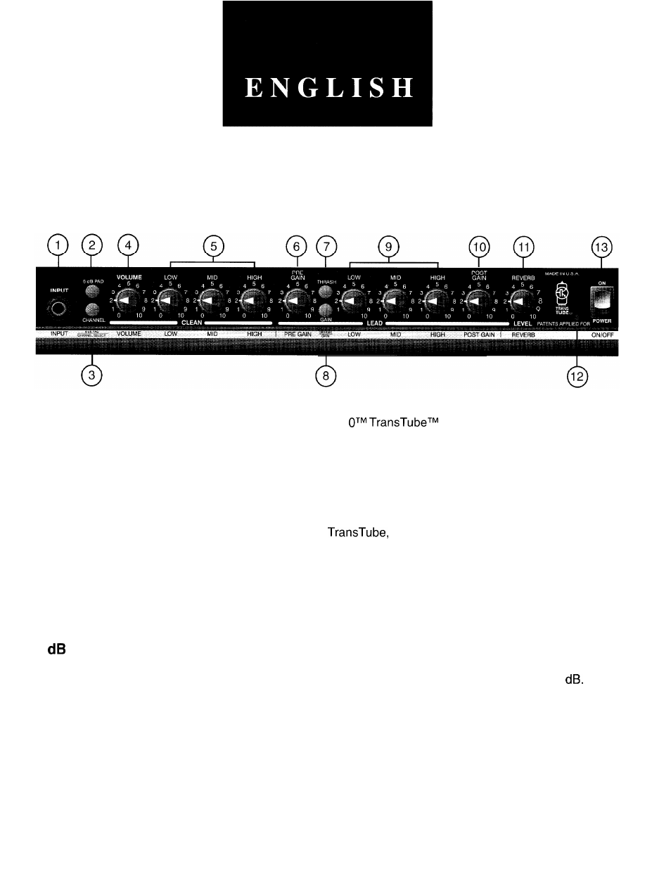 Peavey ENVOY 110 User Manual | Page 3 / 16