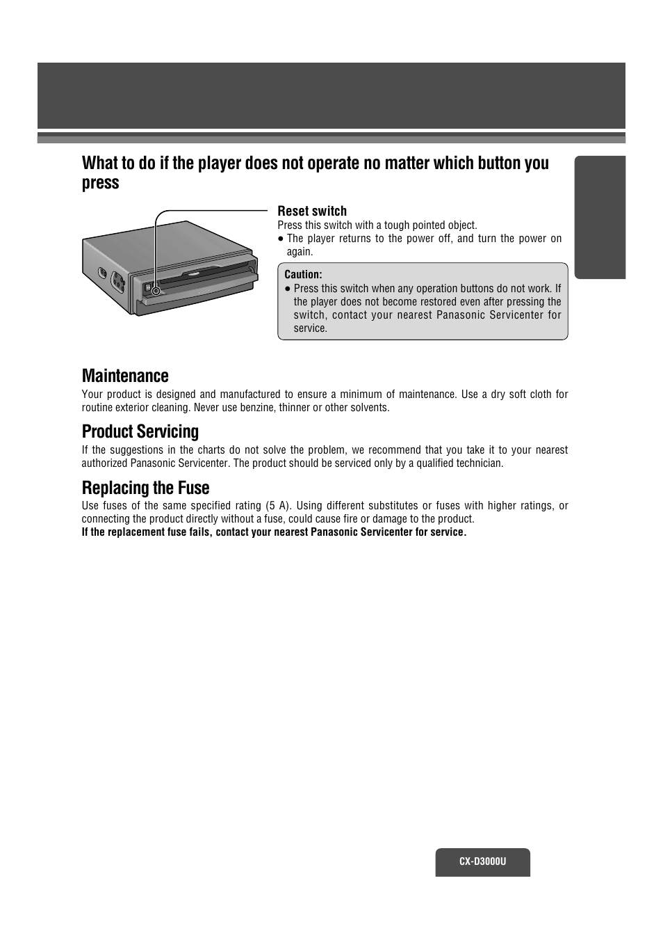 Reset, Maintenance, Product servicing | Replacing the fuse | Panasonic CX-D3000U User Manual | Page 26 / 50