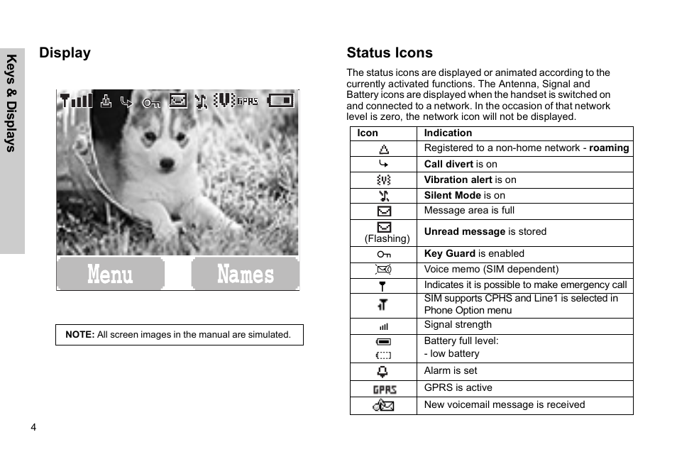 Display status icons | Panasonic EB-G51E User Manual | Page 7 / 90