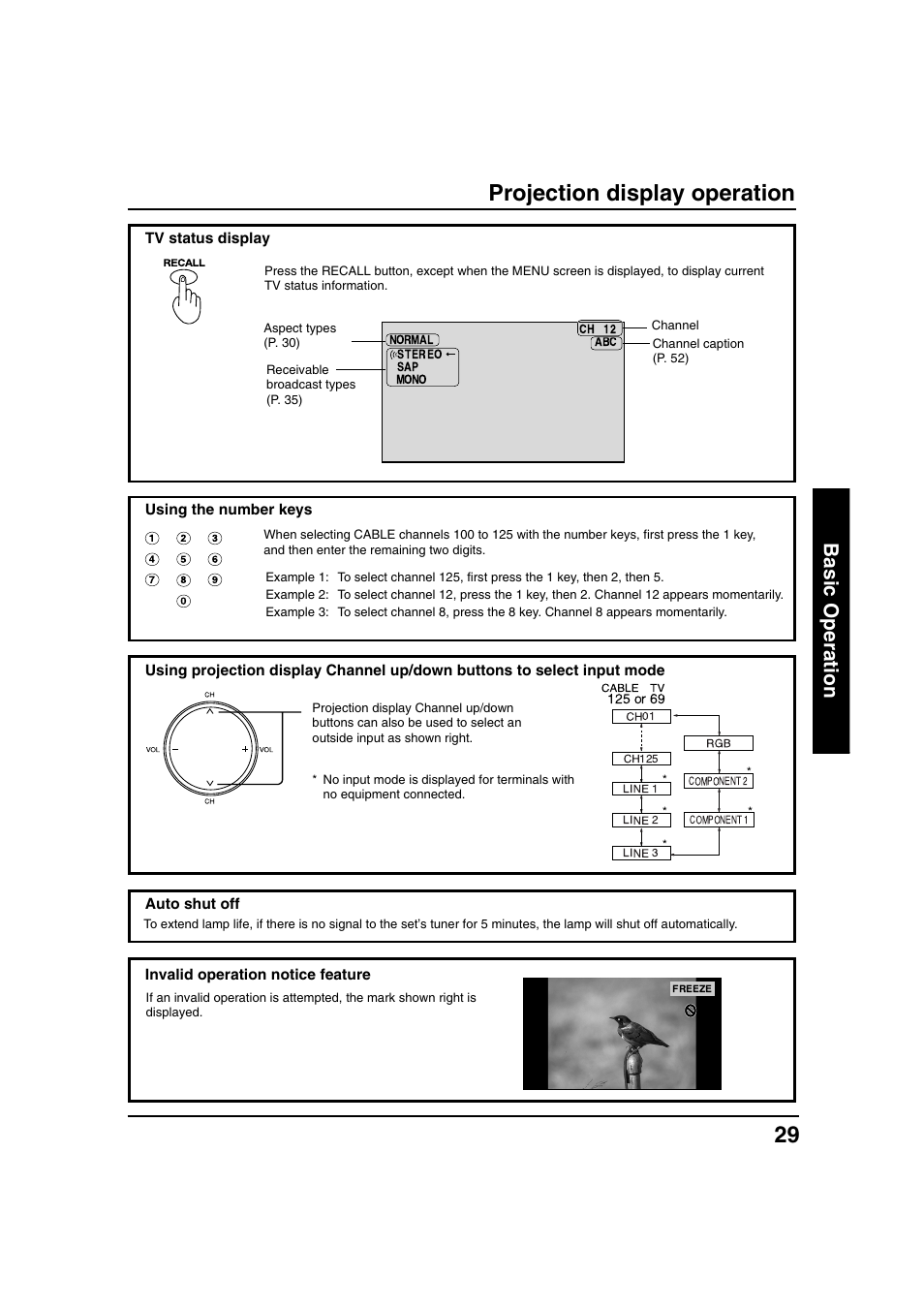 Projection display operation, Basic operation | Panasonic PT 40LC12 User Manual | Page 29 / 72