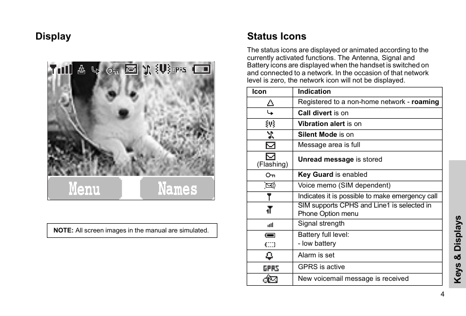 Display status icons | Panasonic GSM EB-G51M User Manual | Page 7 / 91