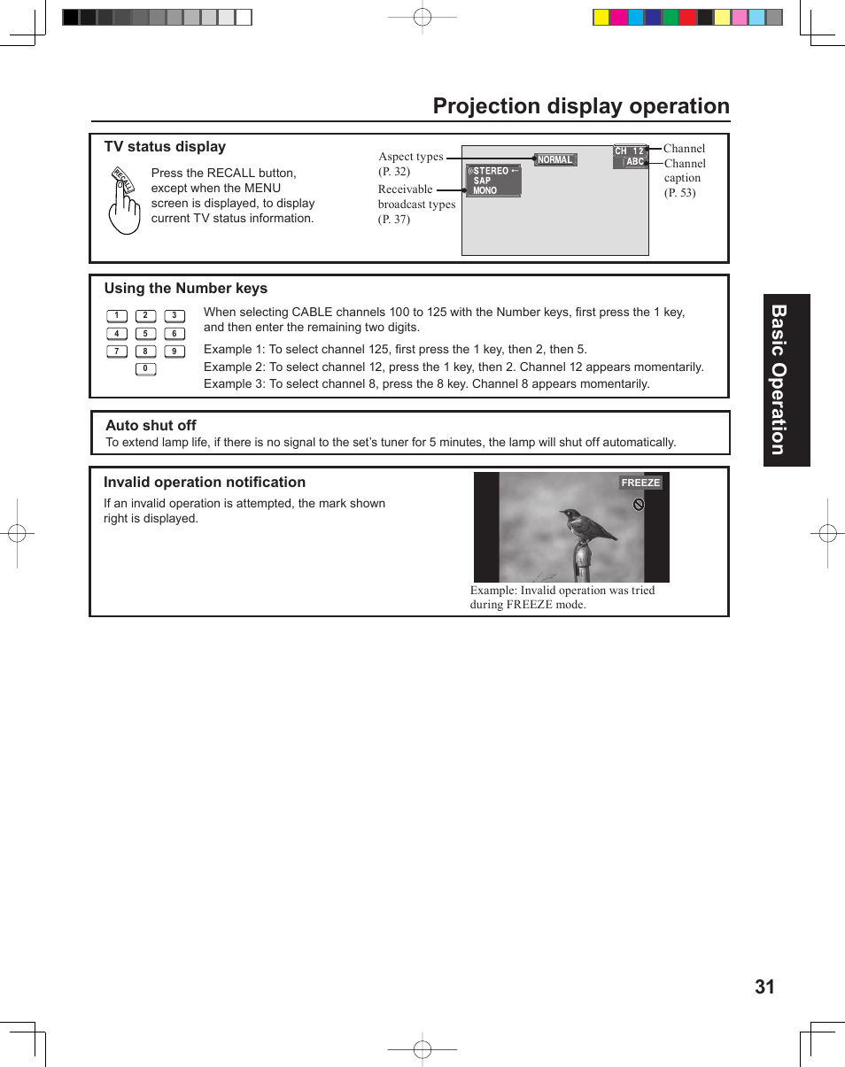 Projection display operation, 31 basic operation | Panasonic PT-43LC14 User Manual | Page 31 / 88