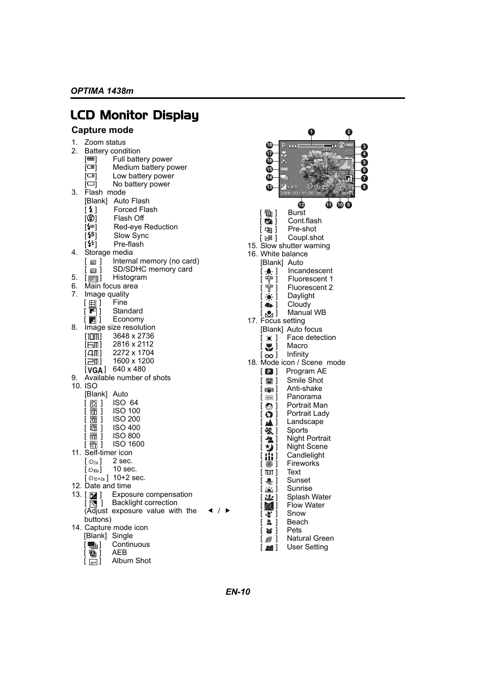 Lcd monitor display, Capture mode | Panasonic 1438M User Manual | Page 11 / 44