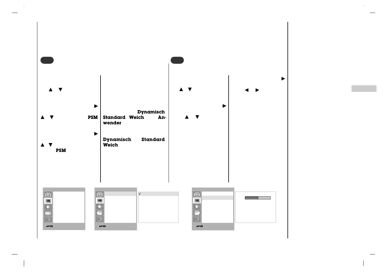 Bildeinstellungen | Rolsen RL-15X11 User Manual | Page 91 / 240