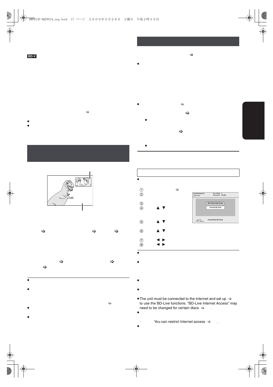 Enjoying bd-live or bonusview in bd-video, Enjoying bd-live discs with internet | Panasonic DMP-B15 User Manual | Page 17 / 52