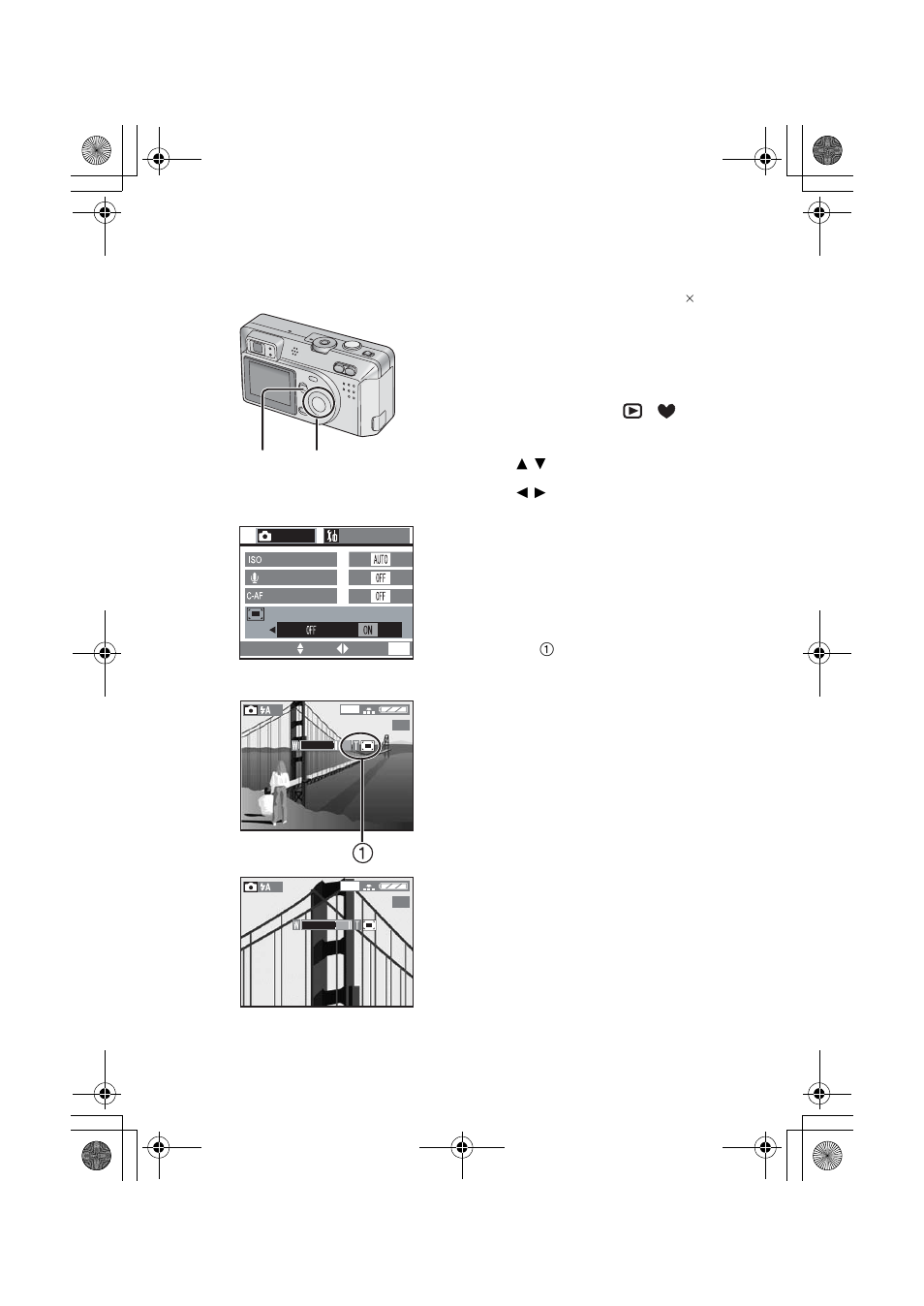 Using the digital zoom | Panasonic DMC-F1PP User Manual | Page 31 / 100