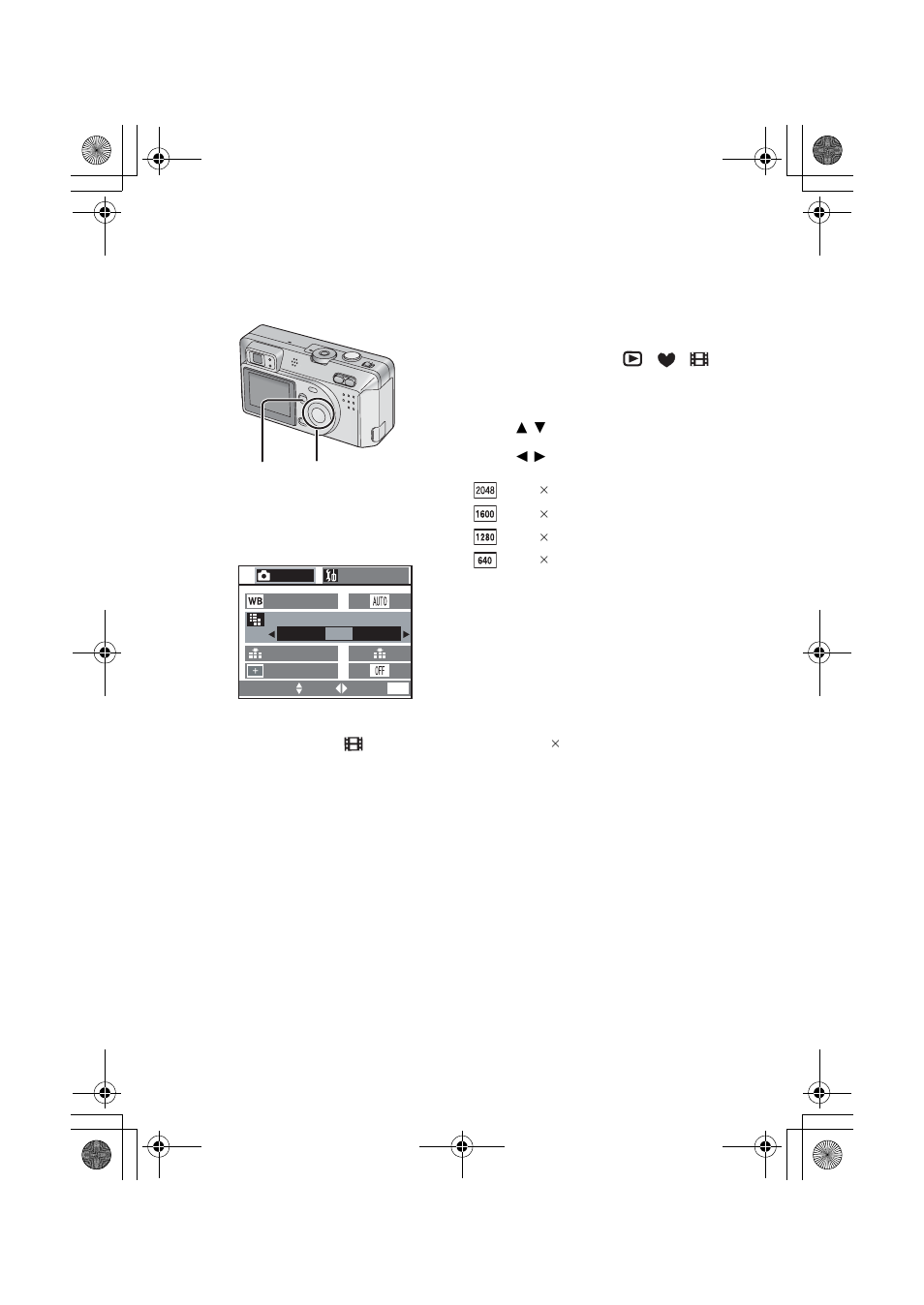 Changing the picture size | Panasonic DMC-F1PP User Manual | Page 37 / 100