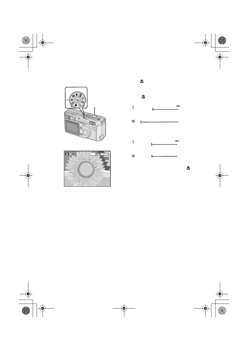 Taking pictures using macro mode | Panasonic DMC-F1PP User Manual | Page 39 / 100