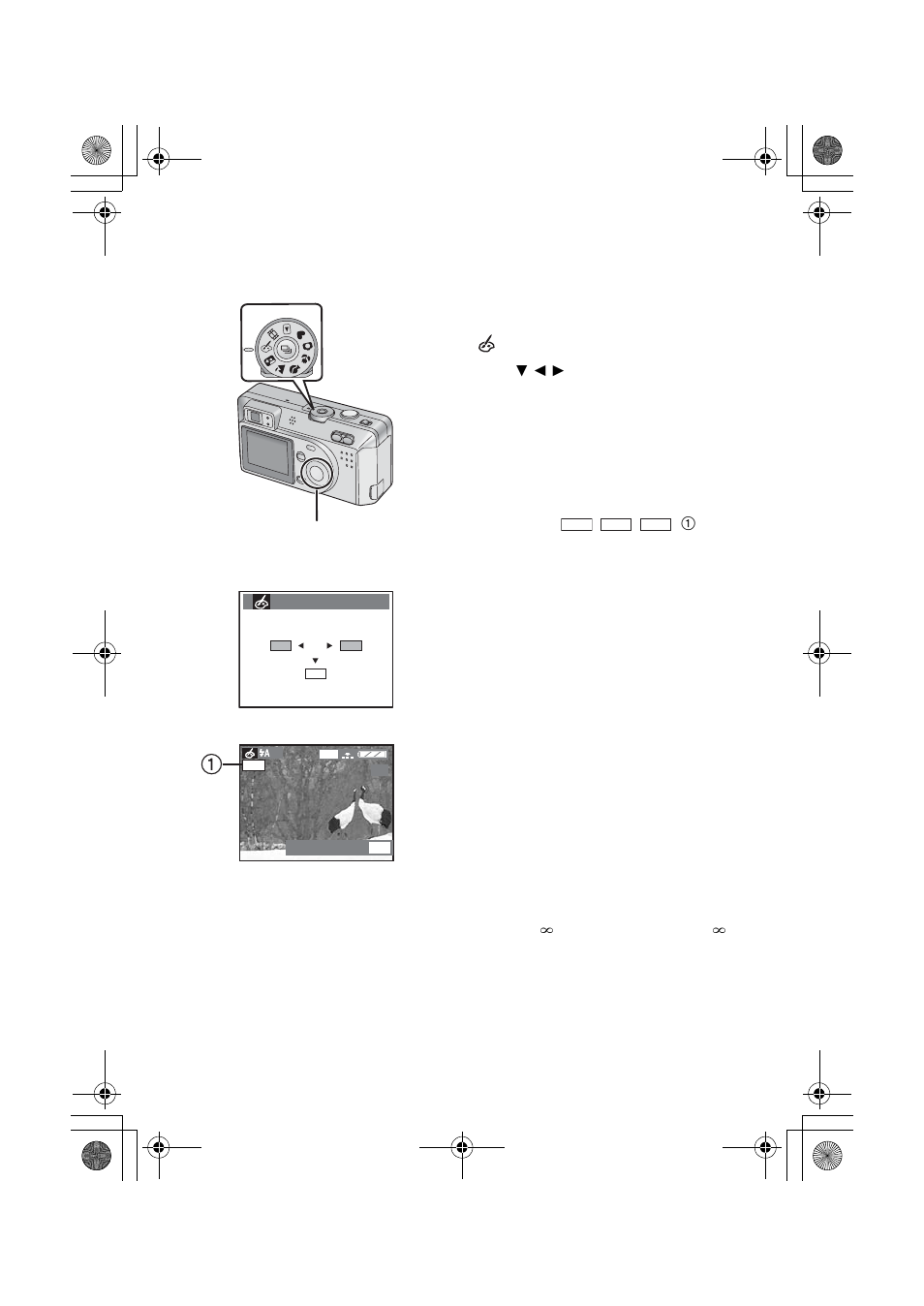 Taking pictures using color effect mode | Panasonic DMC-F1PP User Manual | Page 43 / 100