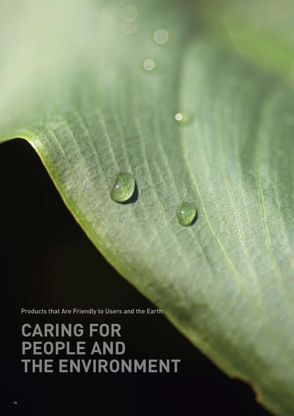Caring for people and the environment | Panasonic 2007-2008 User Manual | Page 24 / 36