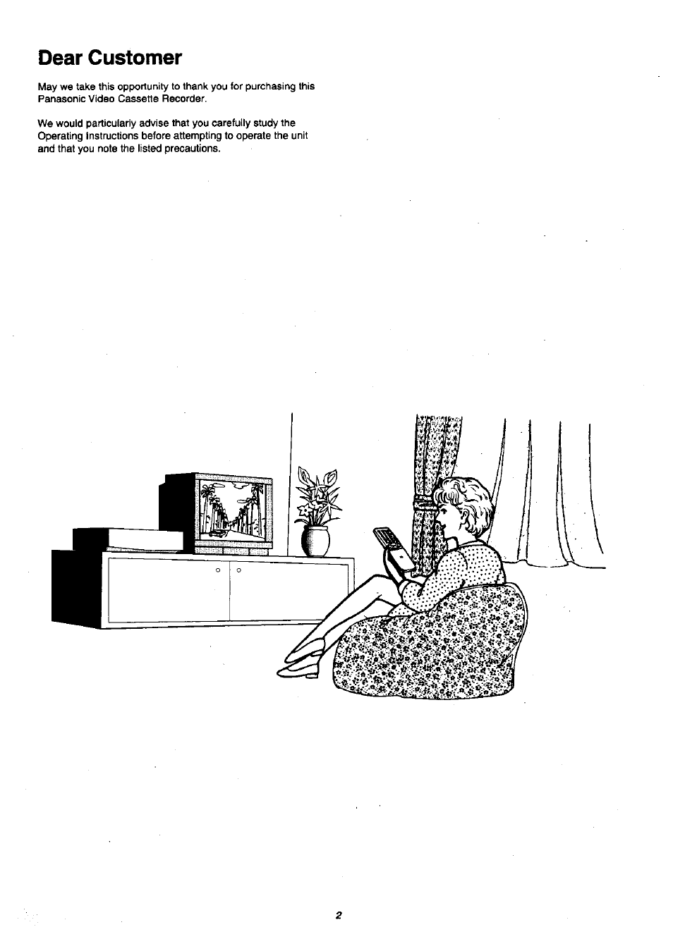 Dear customer | Panasonic NV-SJ200 User Manual | Page 2 / 30