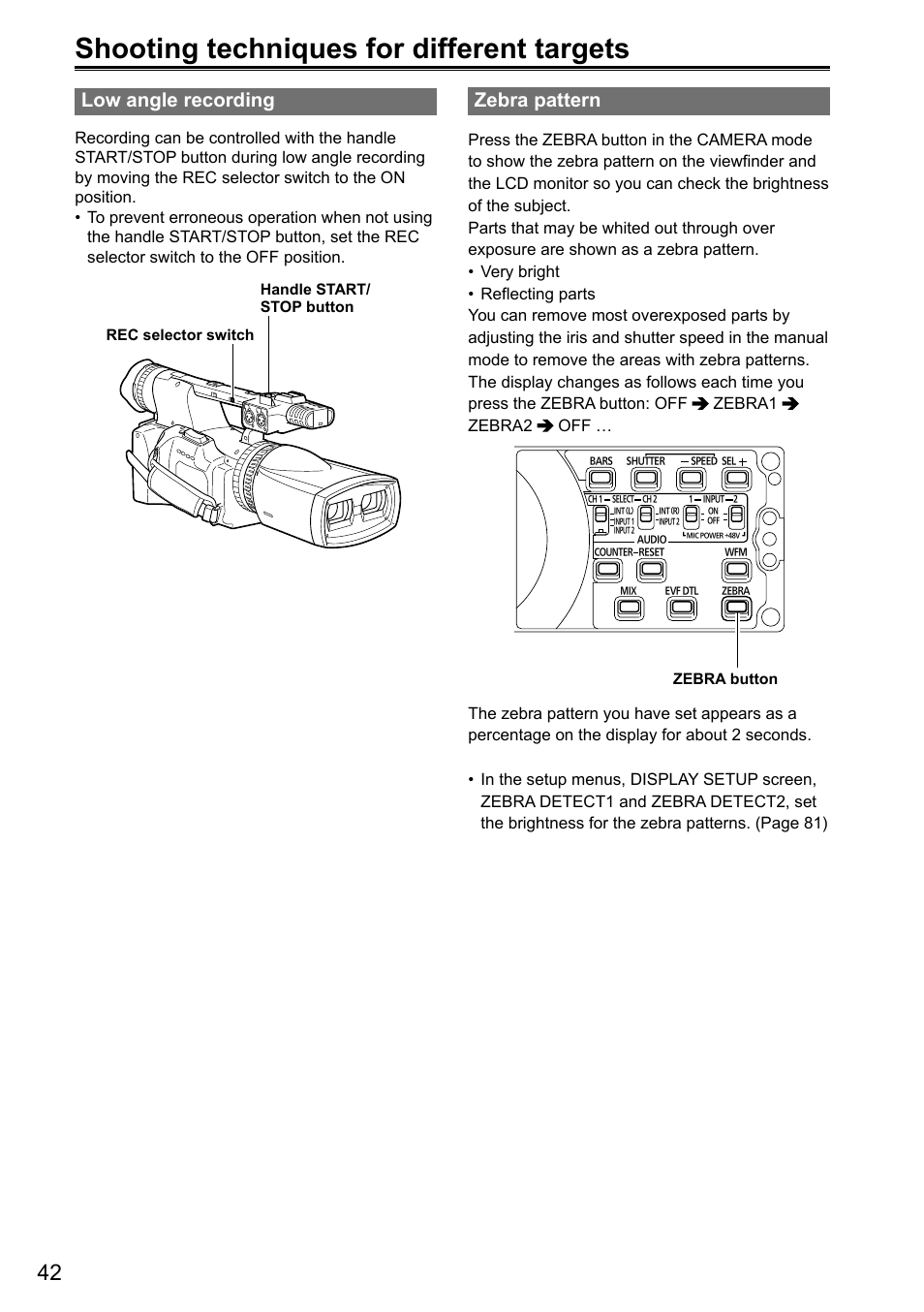 Shooting techniques for different targets, Low angle recording, Zebra pattern | Panasonic AG-3DA1P User Manual | Page 42 / 96