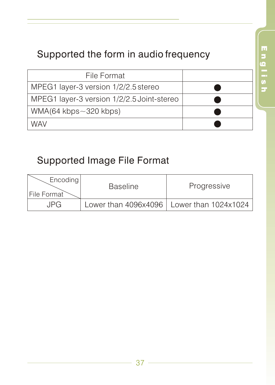 Supported the form in audio frequency, Supported image file format | Panasonic MDVR-12 User Manual | Page 37 / 38