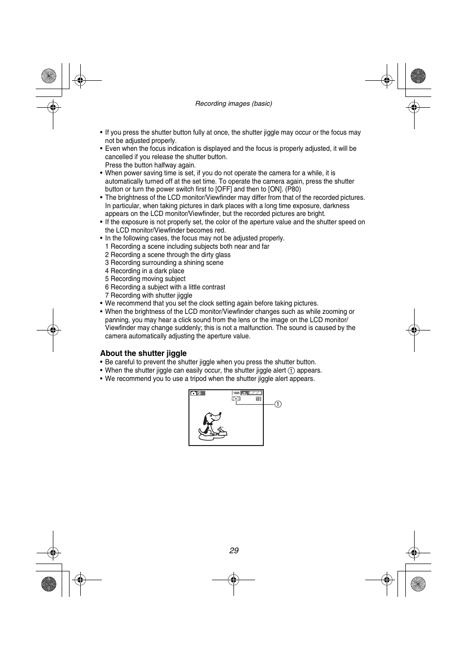 Panasonic DMC-FZ1PP User Manual | Page 29 / 108