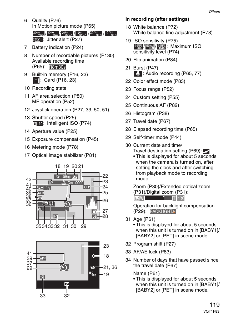 Panasonic DMC-FZ18 User Manual | Page 119 / 171