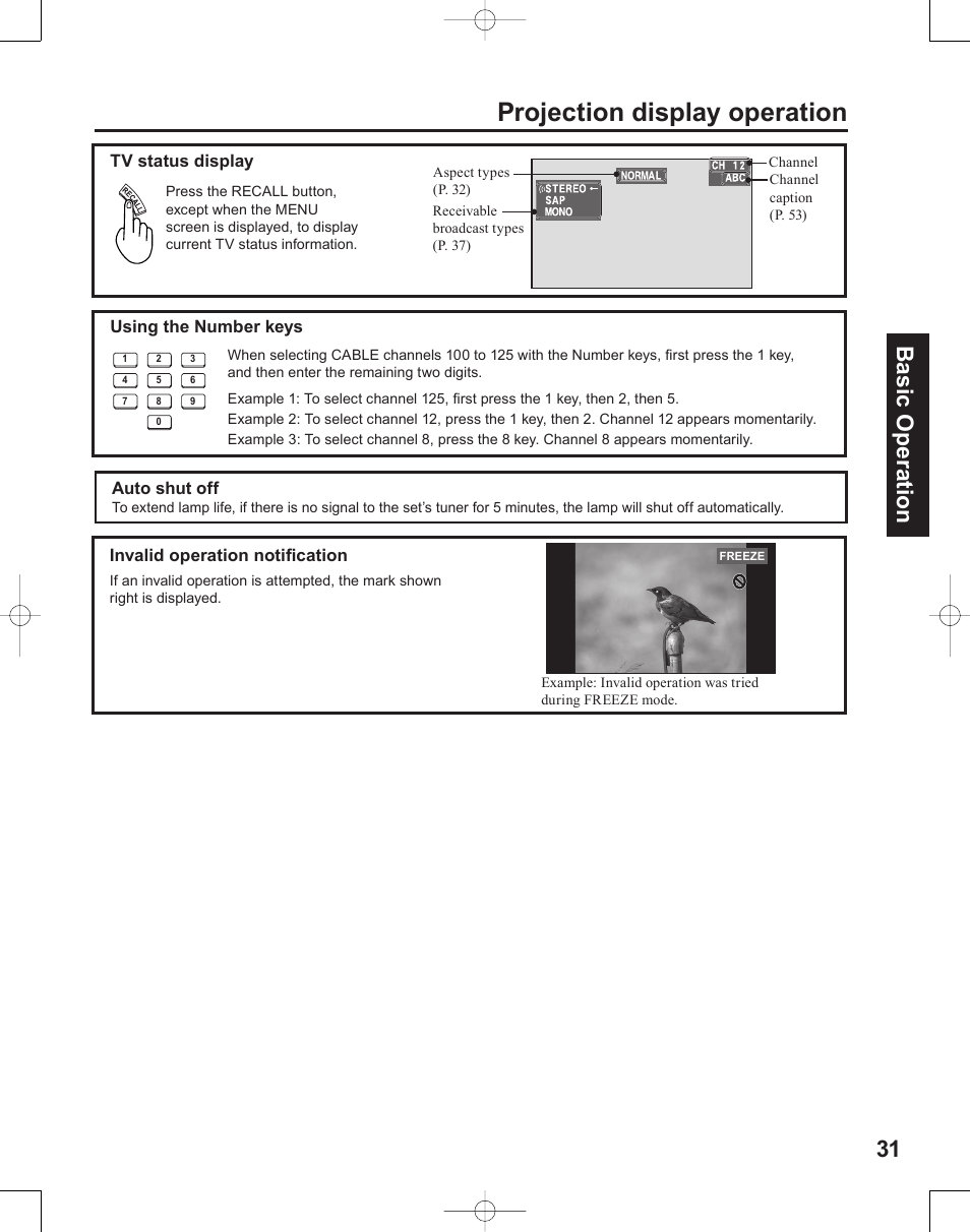 Projection display operation, 31 basic operation | Panasonic PT-50LC14 User Manual | Page 31 / 88
