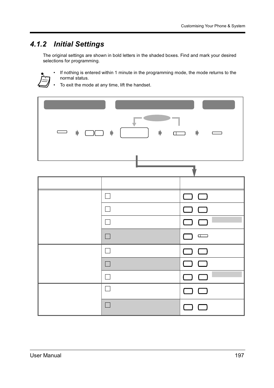 2initial settings, Initial settings, Initial settings) | 2 initial settings, User manual 197, Item selection programming input | Panasonic KX-TD612NZ User Manual | Page 197 / 250