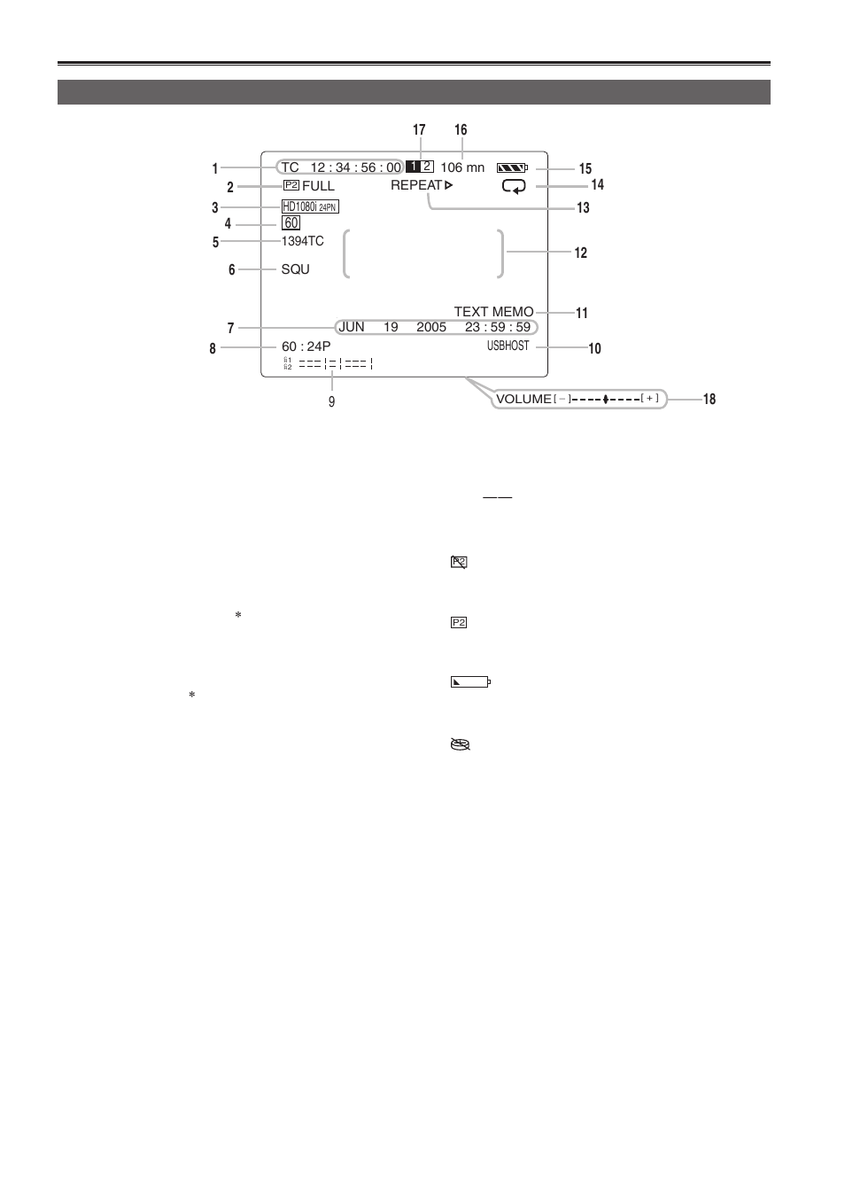 Displays, Screen displays, Normal displays | Panasonic AG-HPG10P User Manual | Page 62 / 92