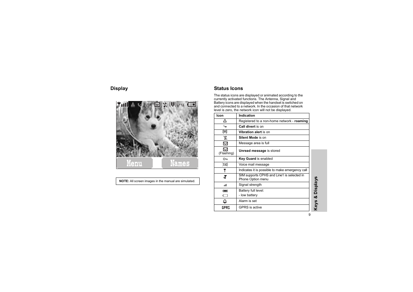 Display, Status icons, Display status icons | Panasonic EB-G50 User Manual | Page 12 / 104